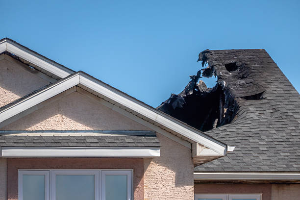 Licensed Odor Removal service in Shafer, MN - Fire Damage Biloxi